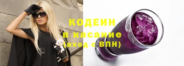 сатива Лабытнанги