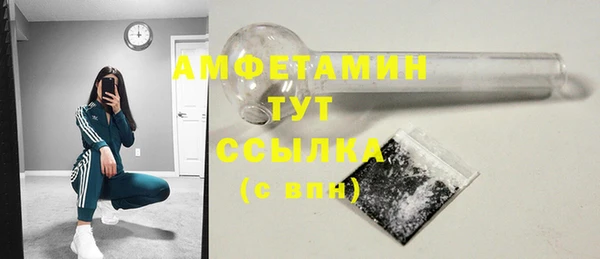 крисы Магас