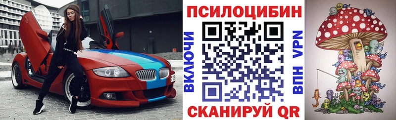 Купить где  Дорогобуж  Галлюциногенные грибы Psilocybe 