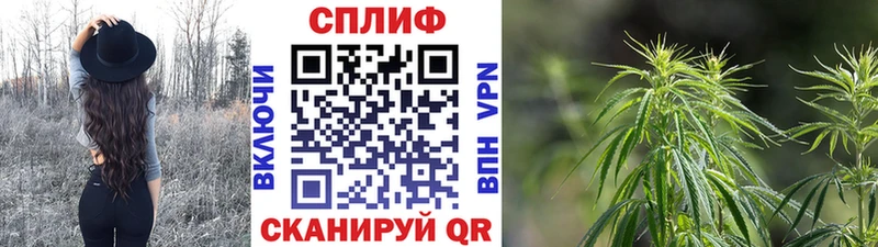 Купить где  Дорогобуж  Конопля гибрид 
